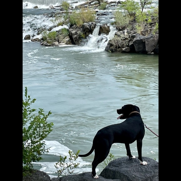 Meet your Posher, Helen Brianna - Picture 11 of 17